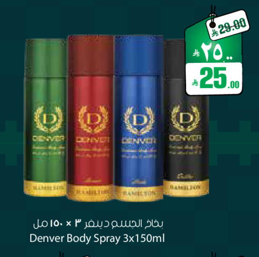 available at City Flower in KSA, Saudi Arabia, Saudi - Sakaka