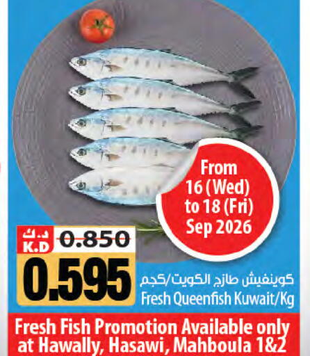 Mango available at مانجو هايبرماركت in الكويت - مدينة الكويت