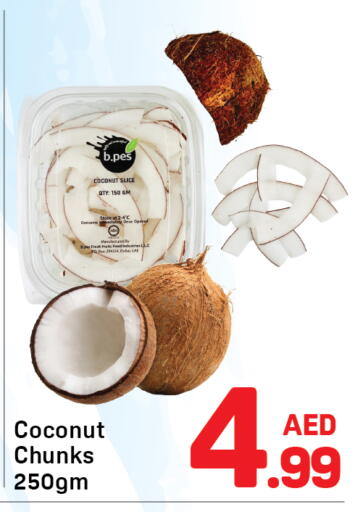 Coconut available at Day to Day Department Store in UAE - Dubai