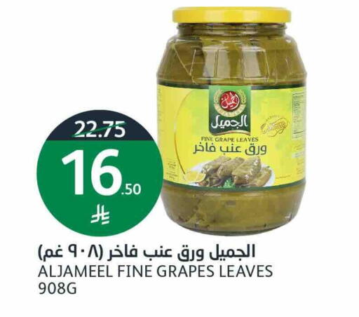 Grapes available at أسواق الجزيرة in مملكة العربية السعودية, السعودية, سعودية - الرياض