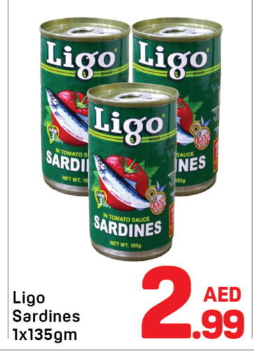 Tomato available at Day to Day Department Store in UAE - Dubai