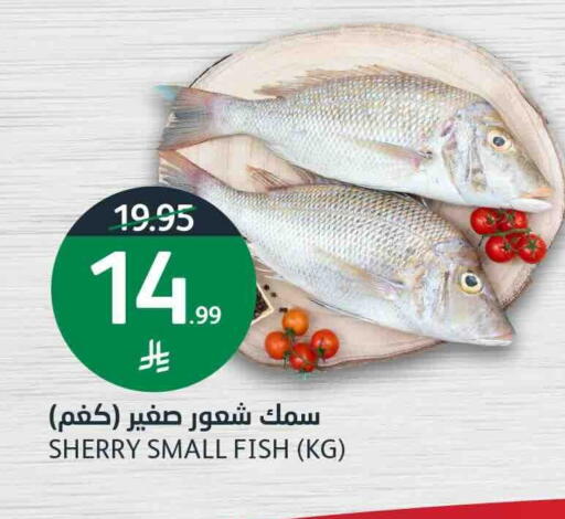 available at أسواق الجزيرة in مملكة العربية السعودية, السعودية, سعودية - الرياض