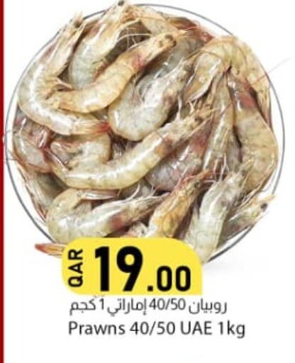 available at Dana Market in Qatar - Doha