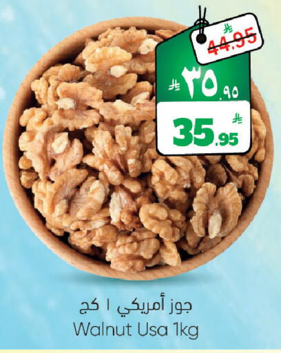 available at ستي فلاور in مملكة العربية السعودية, السعودية, سعودية - سكاكا