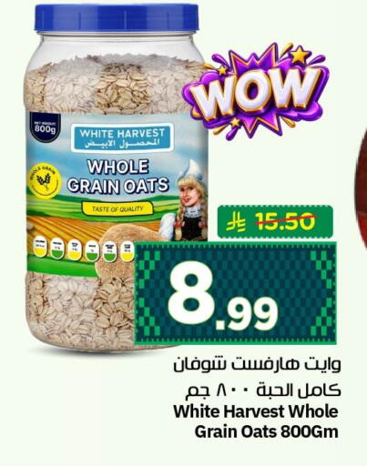 available at نستو in مملكة العربية السعودية, السعودية, سعودية - الأحساء‎