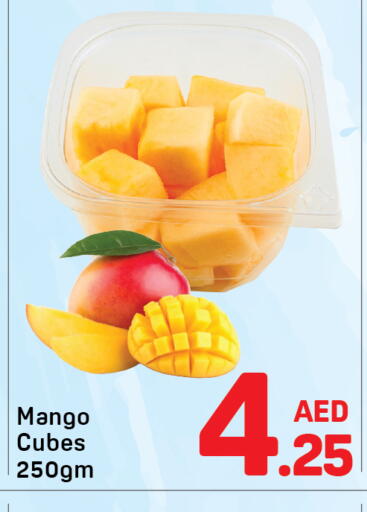 Mango available at Day to Day Department Store in UAE - Dubai