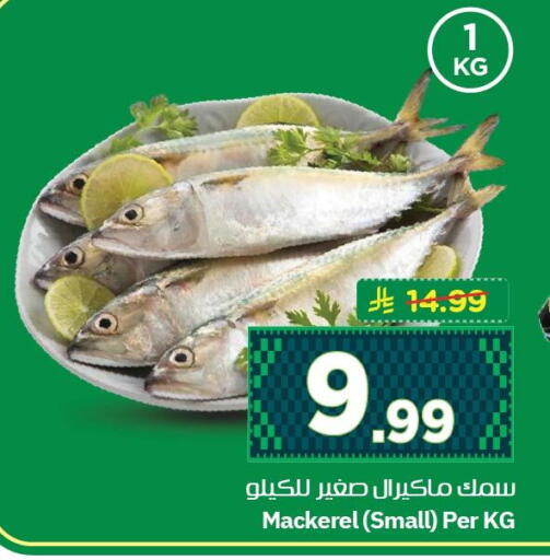 available at نستو in مملكة العربية السعودية, السعودية, سعودية - الجبيل‎