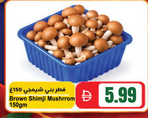 available at المايا سوبرماركت in الإمارات العربية المتحدة , الامارات - ٱلْعَيْن‎