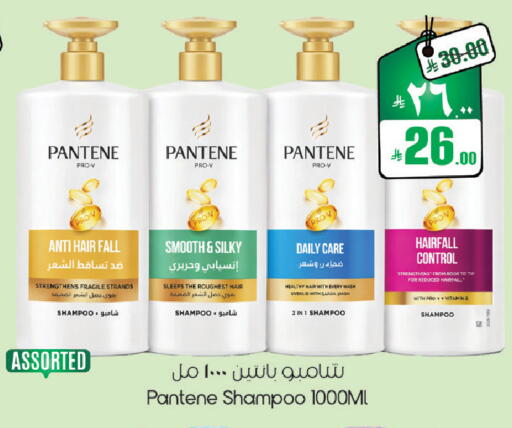 available at City Flower in KSA, Saudi Arabia, Saudi - Sakaka