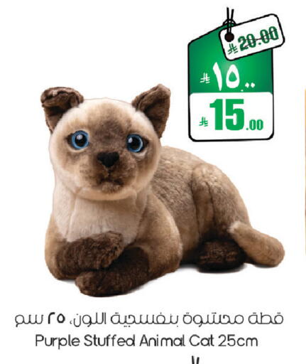 available at ستي فلاور in مملكة العربية السعودية, السعودية, سعودية - حائل‎