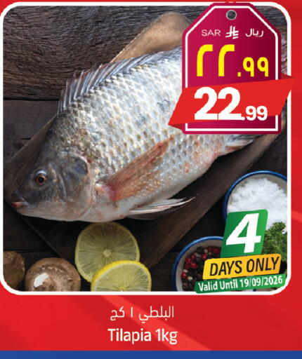 available at ستي فلاور in مملكة العربية السعودية, السعودية, سعودية - حائل‎