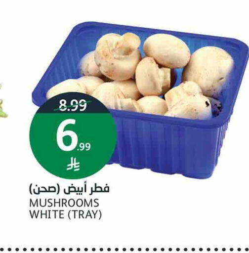 available at أسواق الجزيرة in مملكة العربية السعودية, السعودية, سعودية - الرياض