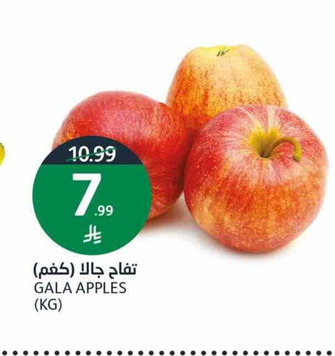 available at AlJazera Shopping Center in KSA, Saudi Arabia, Saudi - Riyadh