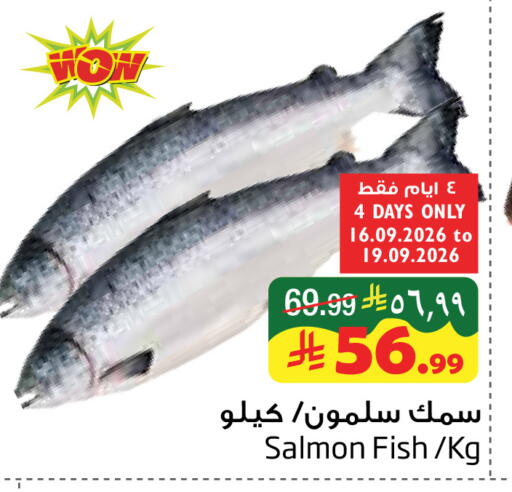 available at ليان هايبر in مملكة العربية السعودية, السعودية, سعودية - المنطقة الشرقية