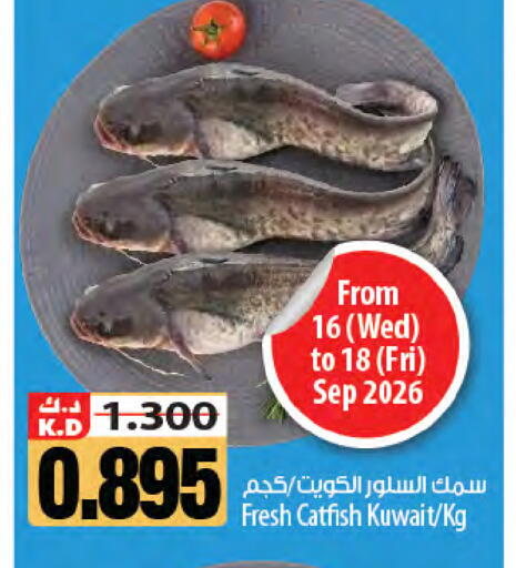 Mango available at Mango Hypermarket  in Kuwait - Kuwait City