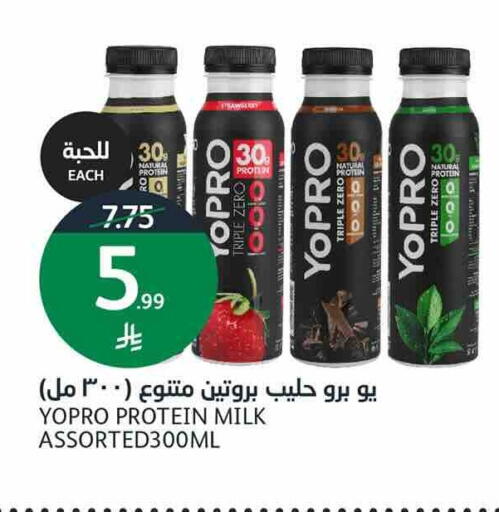 available at أسواق الجزيرة in مملكة العربية السعودية, السعودية, سعودية - الرياض
