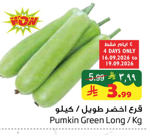 Pumkin available at ليان هايبر in مملكة العربية السعودية, السعودية, سعودية - المنطقة الشرقية