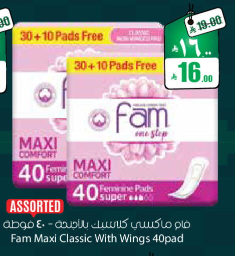 available at ستي فلاور in مملكة العربية السعودية, السعودية, سعودية - سكاكا