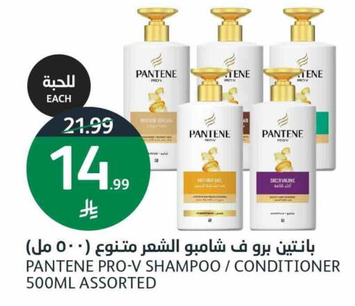available at أسواق الجزيرة in مملكة العربية السعودية, السعودية, سعودية - الرياض