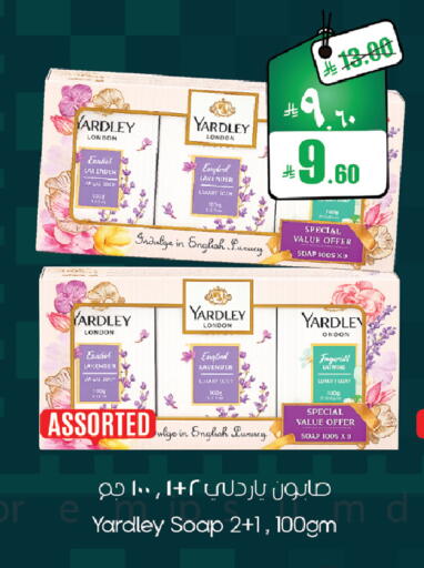 available at City Flower in KSA, Saudi Arabia, Saudi - Sakaka