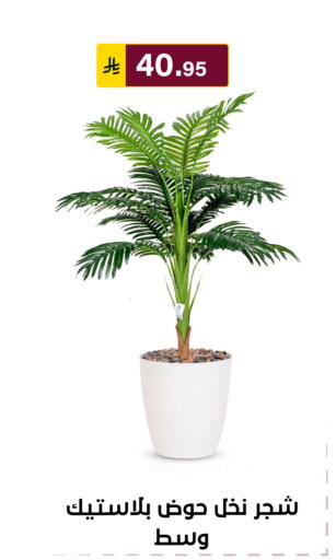 available at Al Hussain Top Up in KSA, Saudi Arabia, Saudi - Riyadh