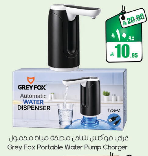 available at City Flower in KSA, Saudi Arabia, Saudi - Hail