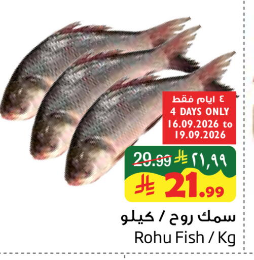 available at ليان هايبر in مملكة العربية السعودية, السعودية, سعودية - المنطقة الشرقية