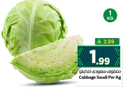 Cabbage from Saudi Arabia available at نستو in مملكة العربية السعودية, السعودية, سعودية - الأحساء‎