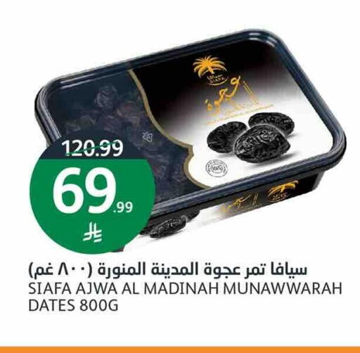 available at أسواق الجزيرة in مملكة العربية السعودية, السعودية, سعودية - الرياض