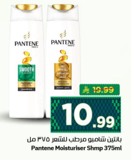 available at نستو in مملكة العربية السعودية, السعودية, سعودية - المجمعة
