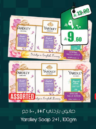 available at ستي فلاور in مملكة العربية السعودية, السعودية, سعودية - حائل‎