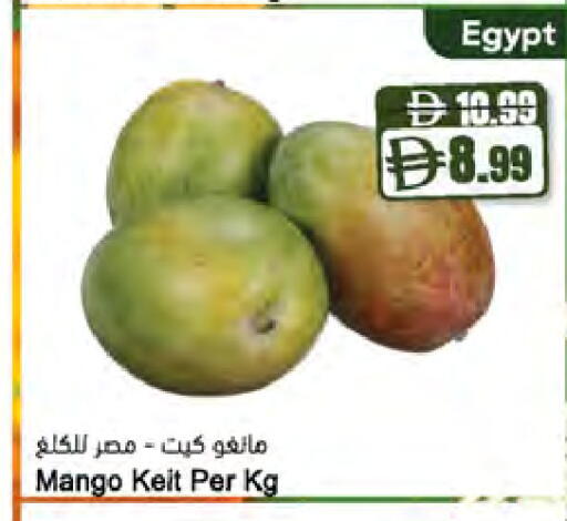 Mango from Egypt available at المايا سوبرماركت in الإمارات العربية المتحدة , الامارات - ٱلْعَيْن‎