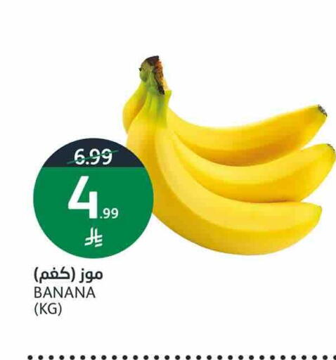 Banana available at AlJazera Shopping Center in KSA, Saudi Arabia, Saudi - Riyadh