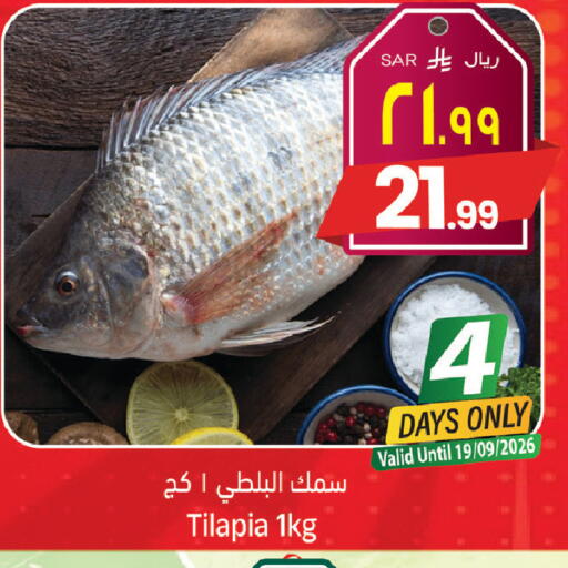 available at ستي فلاور in مملكة العربية السعودية, السعودية, سعودية - الجبيل‎