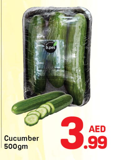Cucumber available at دي تو دي in الإمارات العربية المتحدة , الامارات - دبي