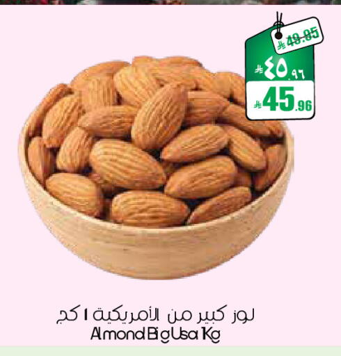 available at ستي فلاور in مملكة العربية السعودية, السعودية, سعودية - سكاكا