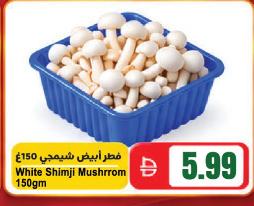 available at المايا سوبرماركت in الإمارات العربية المتحدة , الامارات - ٱلْعَيْن‎