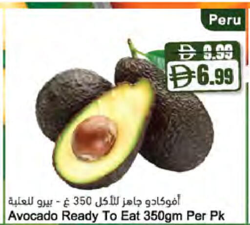Avocado available at المايا سوبرماركت in الإمارات العربية المتحدة , الامارات - ٱلْعَيْن‎