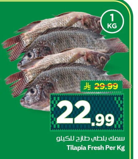 available at نستو in مملكة العربية السعودية, السعودية, سعودية - الأحساء‎