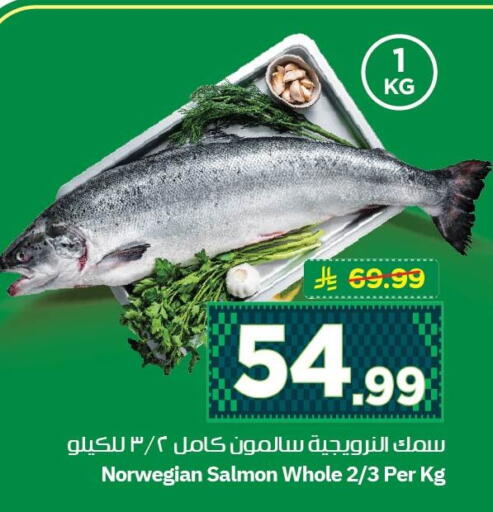 available at نستو in مملكة العربية السعودية, السعودية, سعودية - الأحساء‎