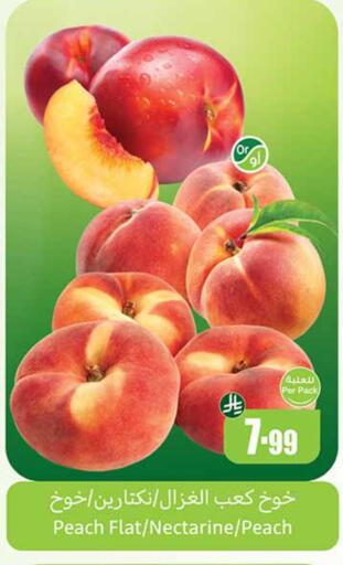 Peach Nectarine available at أسواق عبد الله العثيم in مملكة العربية السعودية, السعودية, سعودية - حائل‎
