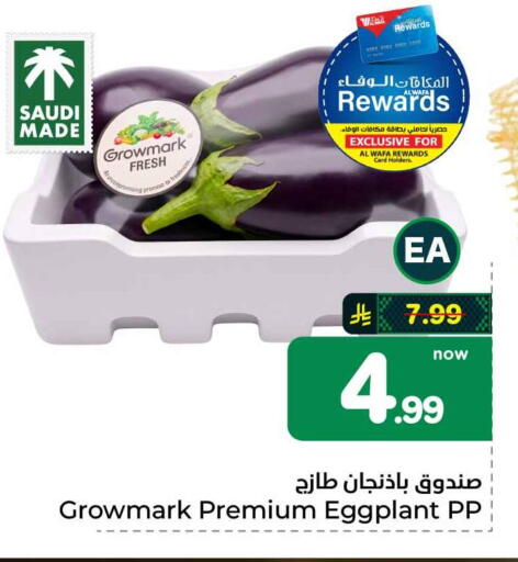 Eggplant from Saudi Arabia available at هايبر الوفاء in مملكة العربية السعودية, السعودية, سعودية - الطائف