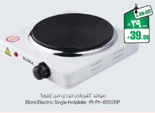 available at City Flower in KSA, Saudi Arabia, Saudi - Sakaka