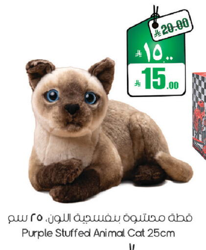 available at ستي فلاور in مملكة العربية السعودية, السعودية, سعودية - سكاكا