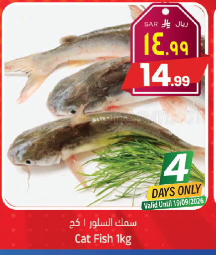 available at ستي فلاور in مملكة العربية السعودية, السعودية, سعودية - حائل‎