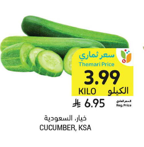 Cucumber available at أسواق التميمي in مملكة العربية السعودية, السعودية, سعودية - الخبر‎