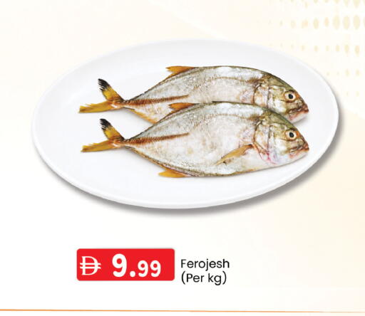 available at K.M Hypermarket in UAE - Abu Dhabi