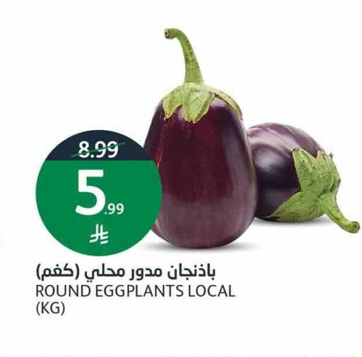available at أسواق الجزيرة in مملكة العربية السعودية, السعودية, سعودية - الرياض
