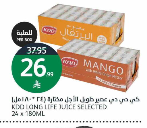 Mango available at AlJazera Shopping Center in KSA, Saudi Arabia, Saudi - Riyadh