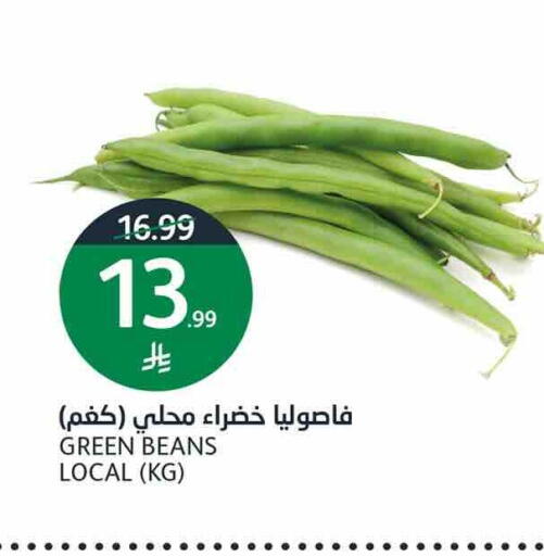 available at أسواق الجزيرة in مملكة العربية السعودية, السعودية, سعودية - الرياض
